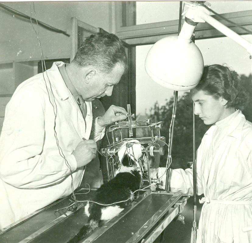 J. Sz. performing stereotaxic surgery with technician G. Forgó. Pécs, 1956